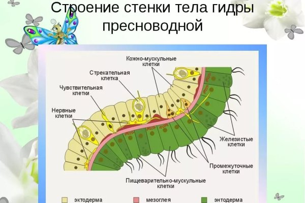 Кракен даркнет только через стор