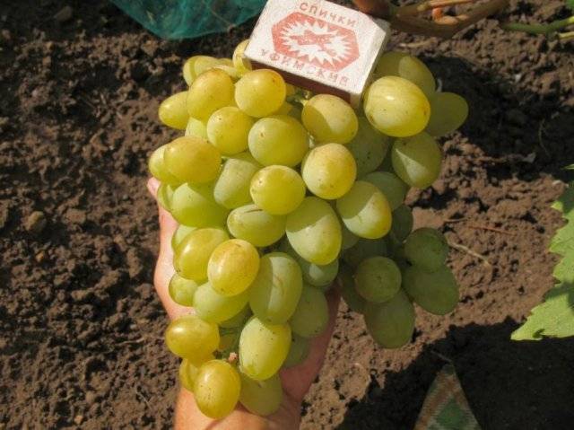 Кракен вход официальная ссылка