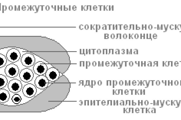 Кракен сайт закладок